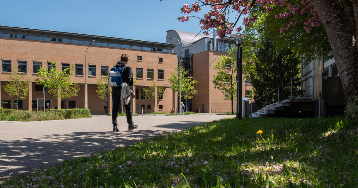 Praxisintegriertes Bachelorstudium (PiBS) - HTA-FR - HTA-FR